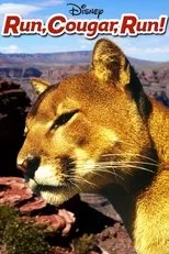 Póster de El último puma