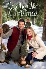 Póster de El valle de la Navidad