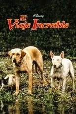 Póster de El viaje increible