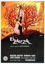 Póster de El zarzal