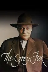 Póster de El zorro gris