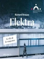 Póster de Elektra - Geneva