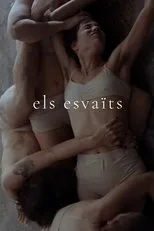 Póster de Els esvaïts