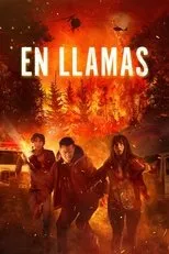 Póster de En llamas