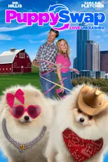 Póster de En un lugar de Montana