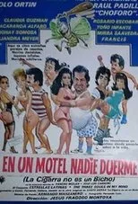 Póster de En un motel nadie duerme
