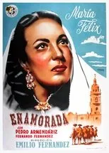 Póster de Enamorada