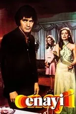 Póster de Enayi