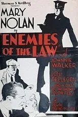 Póster de Enemies of the Law