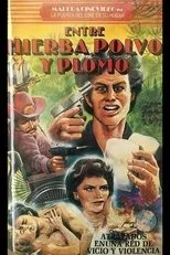 Póster de Entre hierba, polvo y plomo