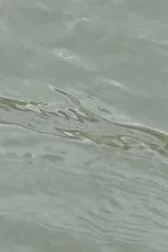 Póster de entre les vagues (un hommage)
