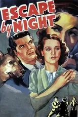 Póster de Escape by Night