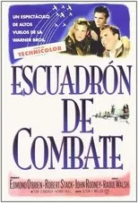 Póster de Escuadrón de combate