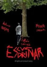 Póster de Escudriñar