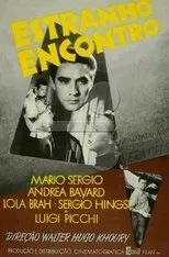 Póster de Estranho Encontro