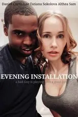 Póster de Evening Installation