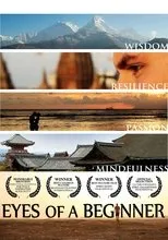 Póster de Eyes of a Beginner