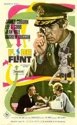 Póster de F de Flint