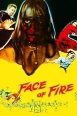 Póster de Face of Fire