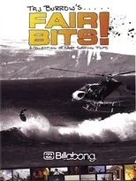 Póster de Fair Bits!