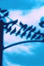 Póster de Faultlines