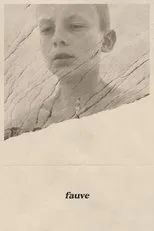 Póster de Fauve