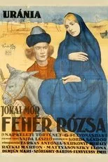 Póster de Fehér rózsa
