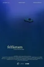 Póster de Felfáztam