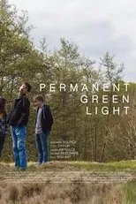 Póster de Feu vert permanent