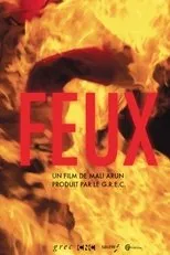 Póster de Feux