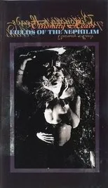Póster de Fields of the Nephilim: Visionary Heads