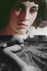Póster de film fragments