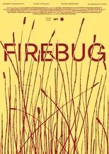 Póster de Firebug
