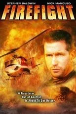Póster de Firefight
