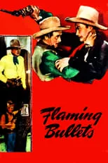 Póster de Flaming Bullets