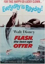 Póster de Flash, The Teenage Otter