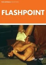 Póster de Flashpoint