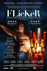Póster de FLICKER