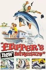 Póster de Flipper y los piratas