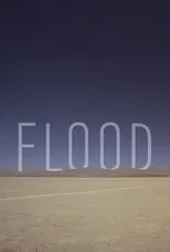Póster de Flood