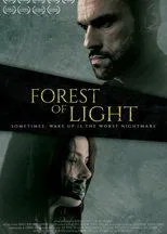 Póster de Floresta da luz