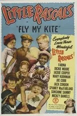 Póster de Fly My Kite