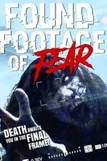 Póster de Found Footage of Fear