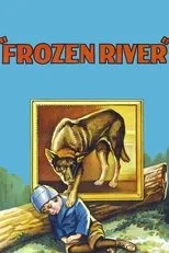 Póster de Frozen River