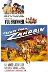 Póster de Fuga de Zahrain