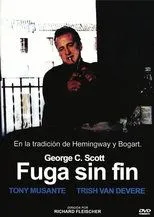 Póster de Fuga sin fin