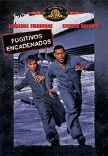 Póster de Fugitivos encadenados