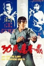 Póster de Furia oriental III