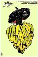 Póster de Gallego