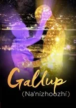 Póster de Gallup (Na'nízhoozhí)